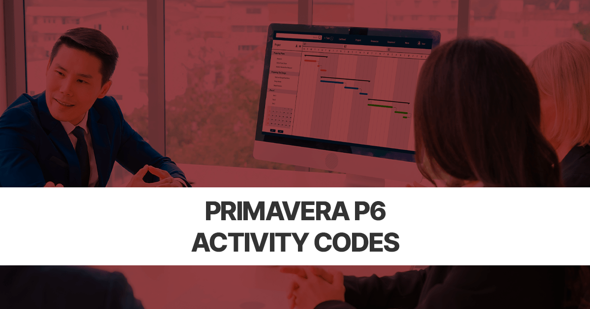primavera p6 activity codes