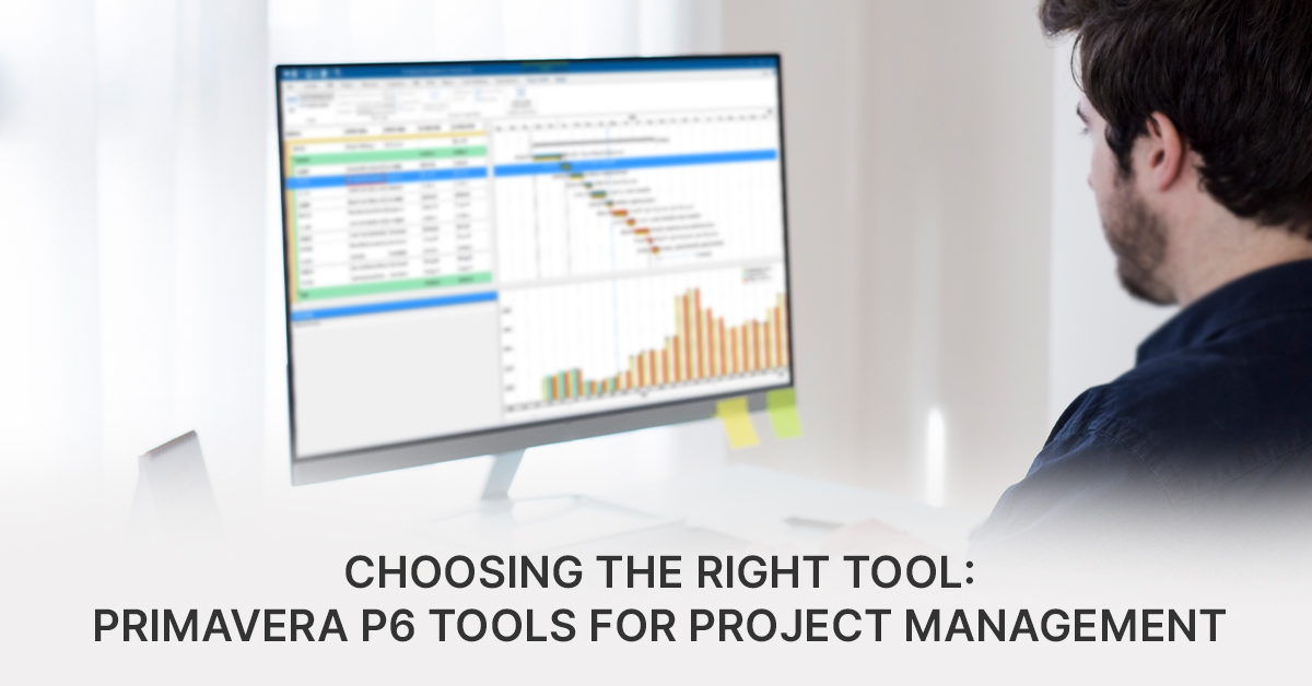 primavera p6 tools for project management