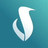 Synami Team